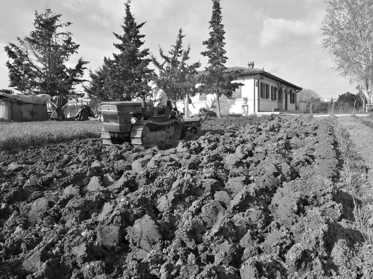 Masseria Le Querciole Fauglia