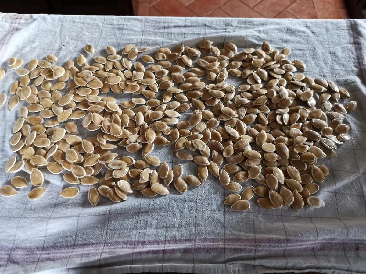 Masseria Le Querciole Fauglia