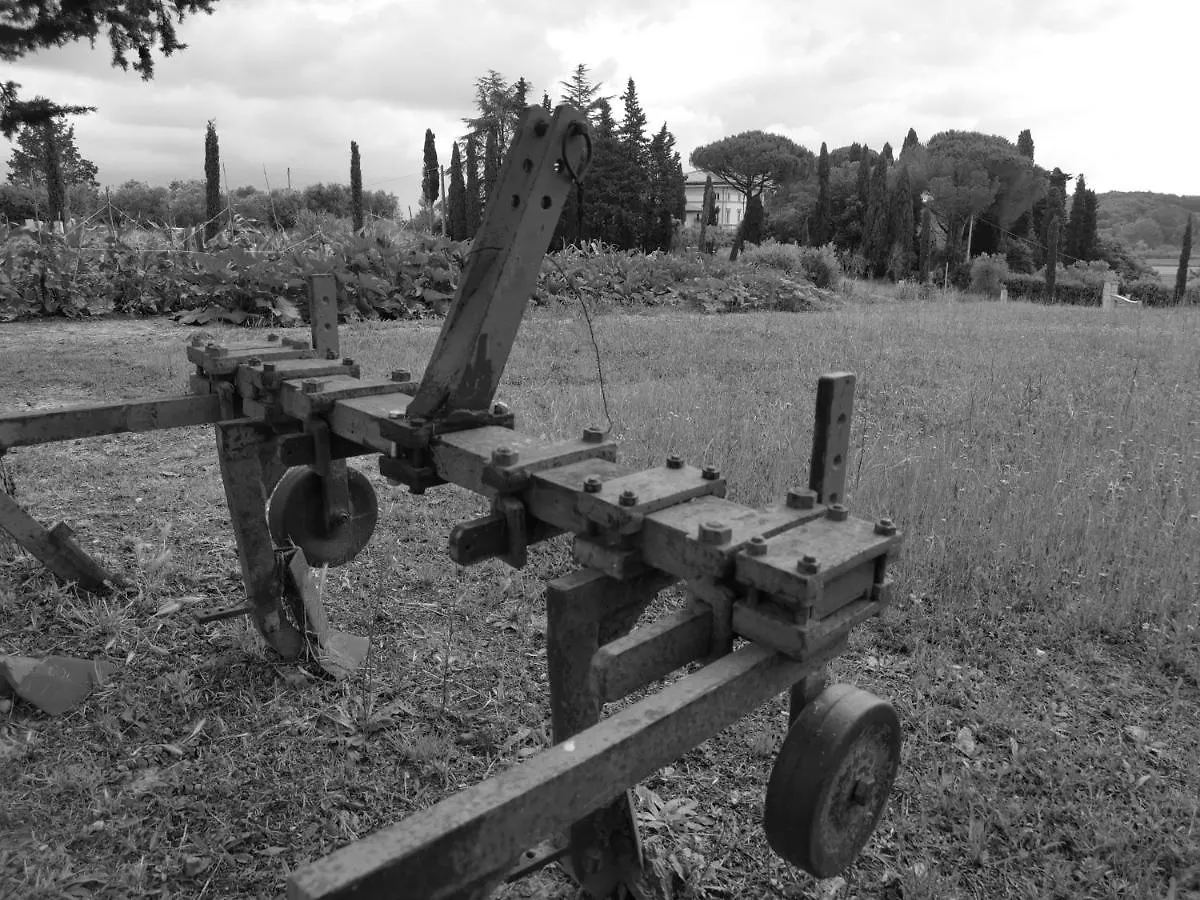 Nocleg ze śniadaniem Masseria Le Querciole Fauglia