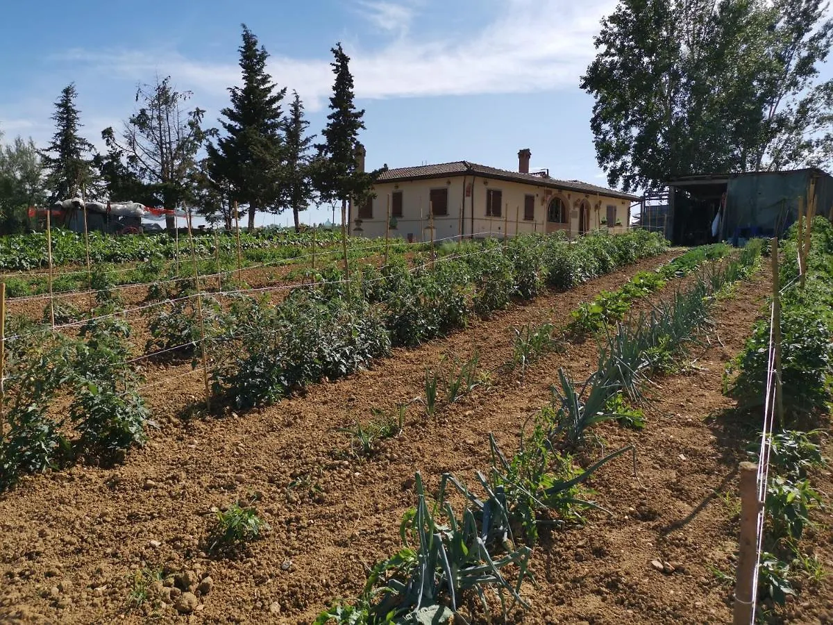 Bed & Breakfast Masseria Le Querciole Fauglia