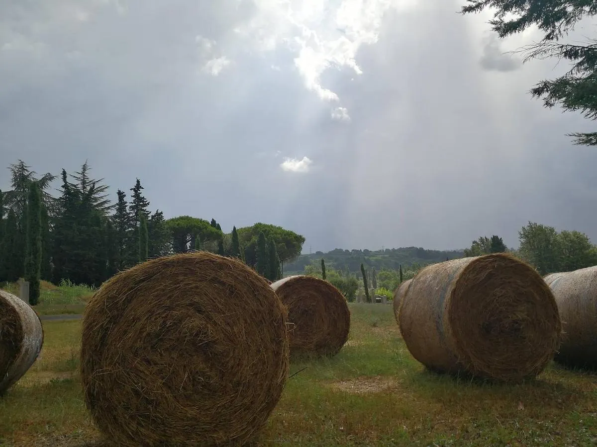 Masseria Le Querciole Fauglia