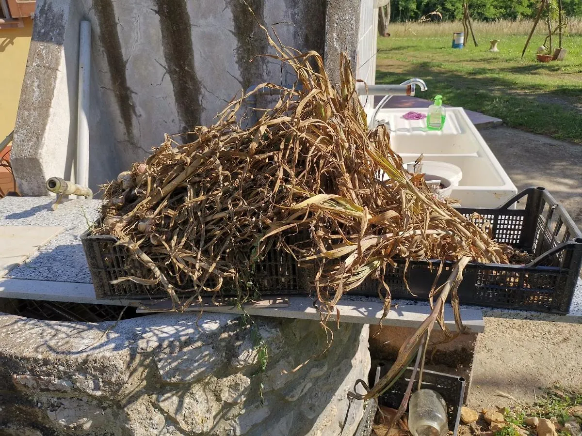 Masseria Le Querciole Fauglia 0*,