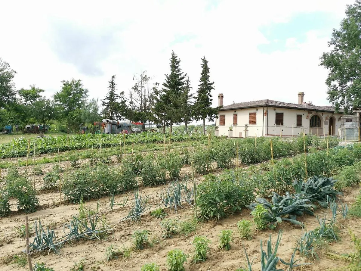 Masseria Le Querciole Fauglia