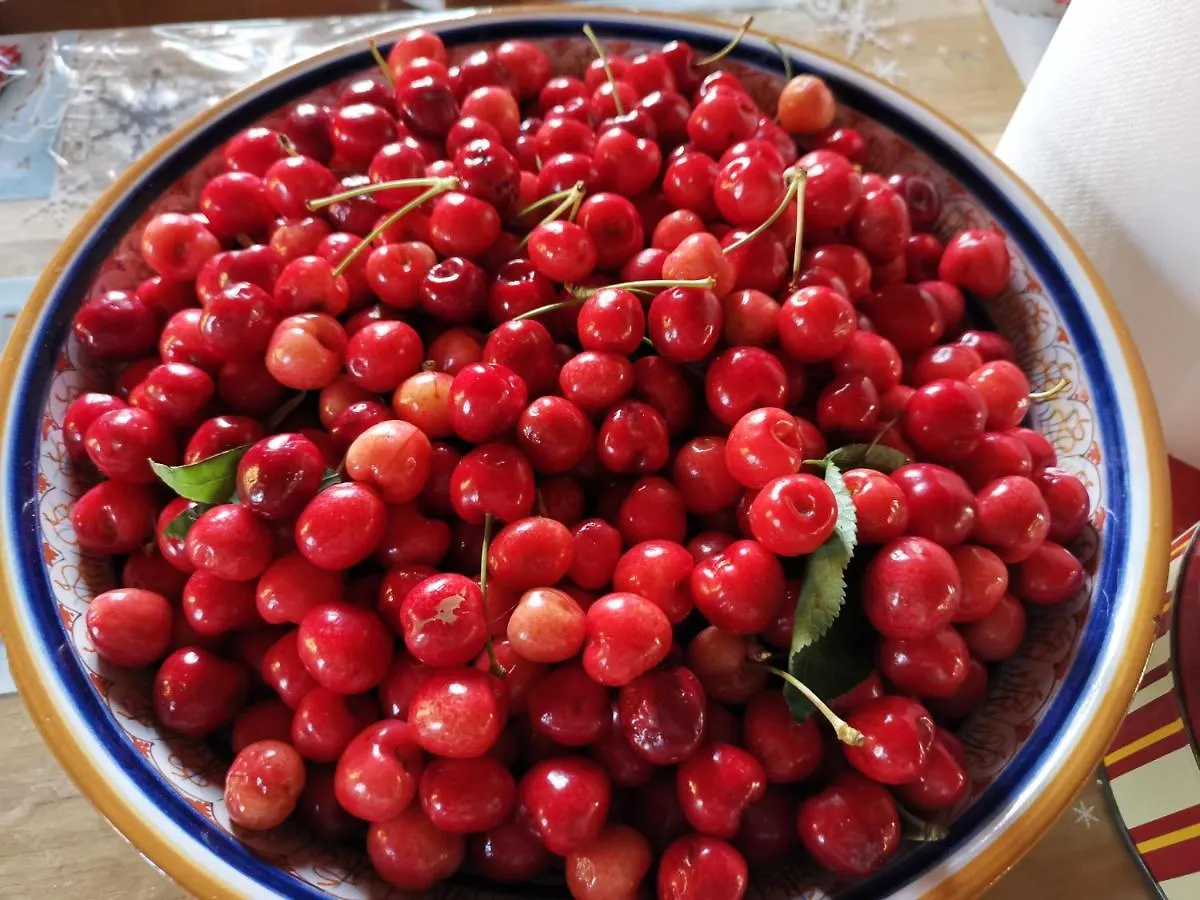 Bed & Breakfast Masseria Le Querciole Fauglia
